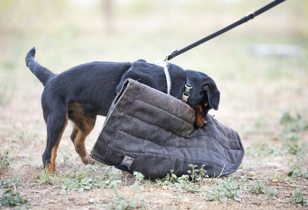 L'importance des systèmes de freinage assisté pour les véhicules de grande taille